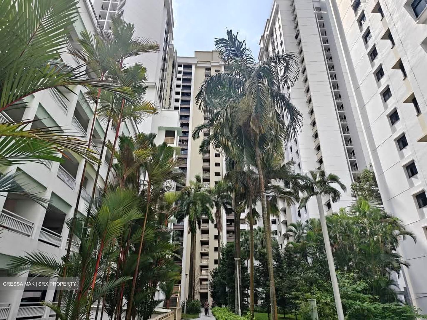 Blk 458 Clementi Avenue 3 (Clementi), HDB 5 Rooms #554253031